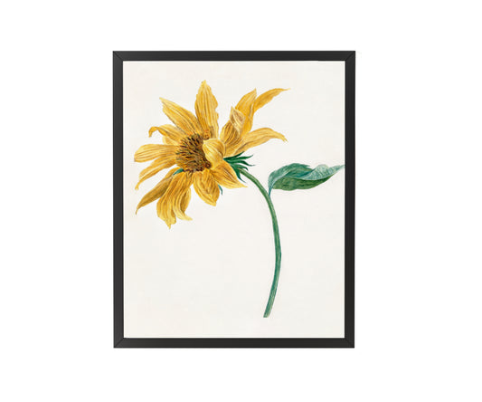 Branch with a sunflower by Michiel van Huysum - Get Instant Art