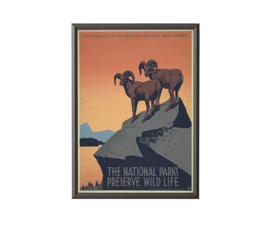 The National Parks Preserve Wildlife - Get Instant Art