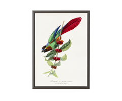 Parakeet by Paul Gervais - Get Instant Art